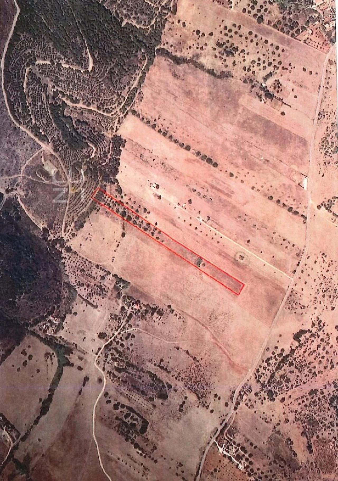 Terreno Agricola ou Rústico para Venda em Bensafrim e Barão de São João Foto 5