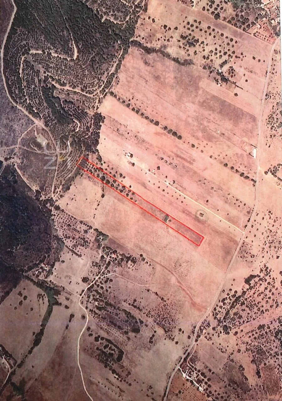 Terreno Agricola ou Rústico para Venda em Bensafrim e Barão de São João Foto 5