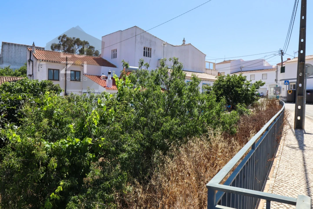 Terreno para Venda em Barão de São Miguel Foto 7