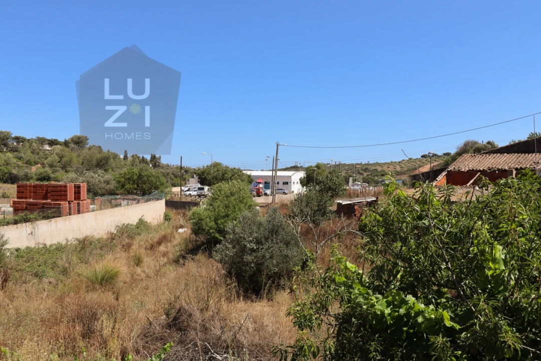 Terreno para Venda em Barão de São Miguel Foto 8