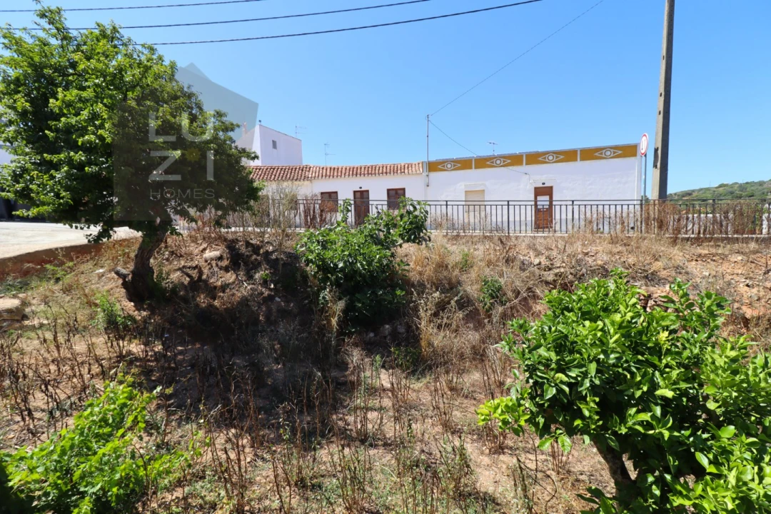 Terreno para Venda em Barão de São Miguel Foto 10
