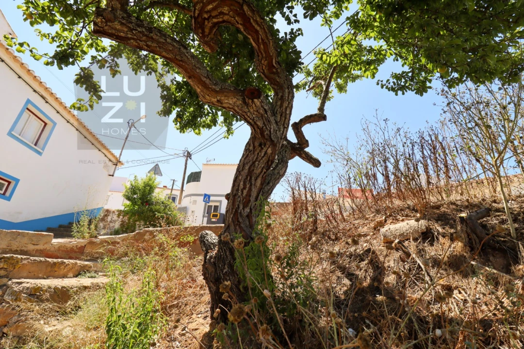 Terreno para Venda em Barão de São Miguel Foto 11