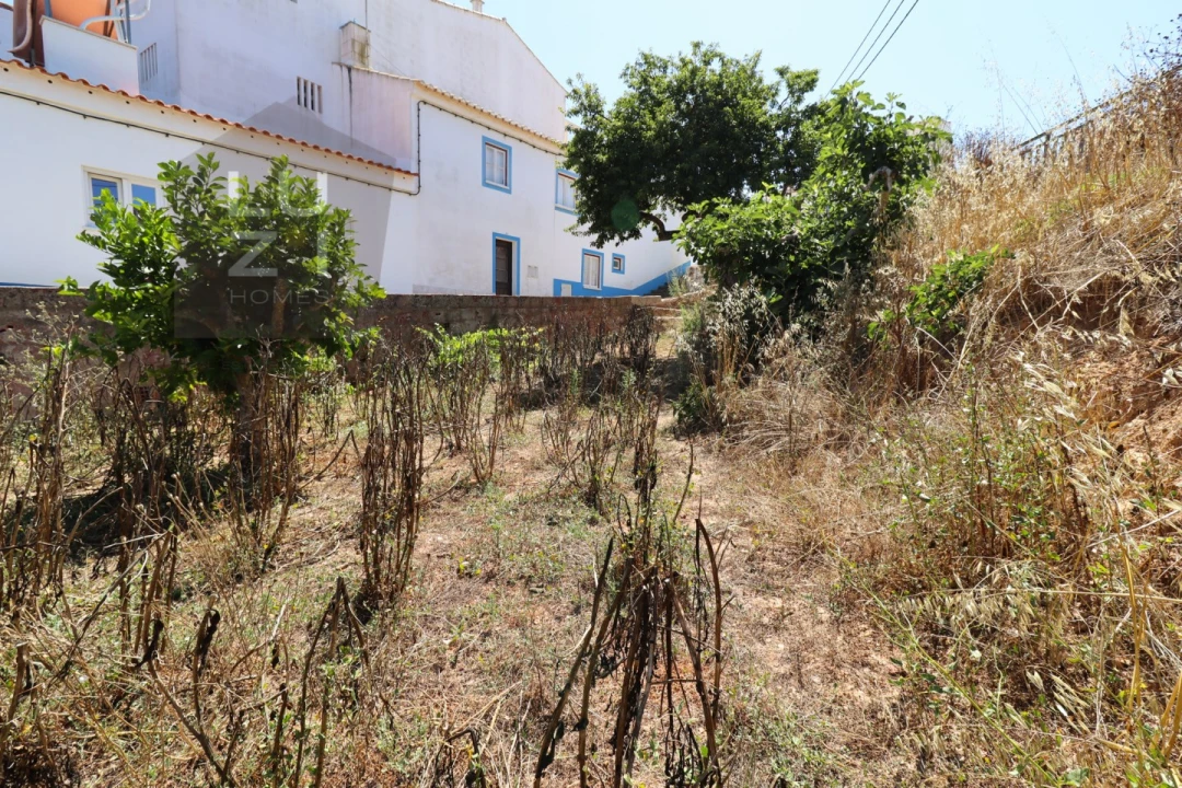 Terreno para Venda em Barão de São Miguel Foto 14