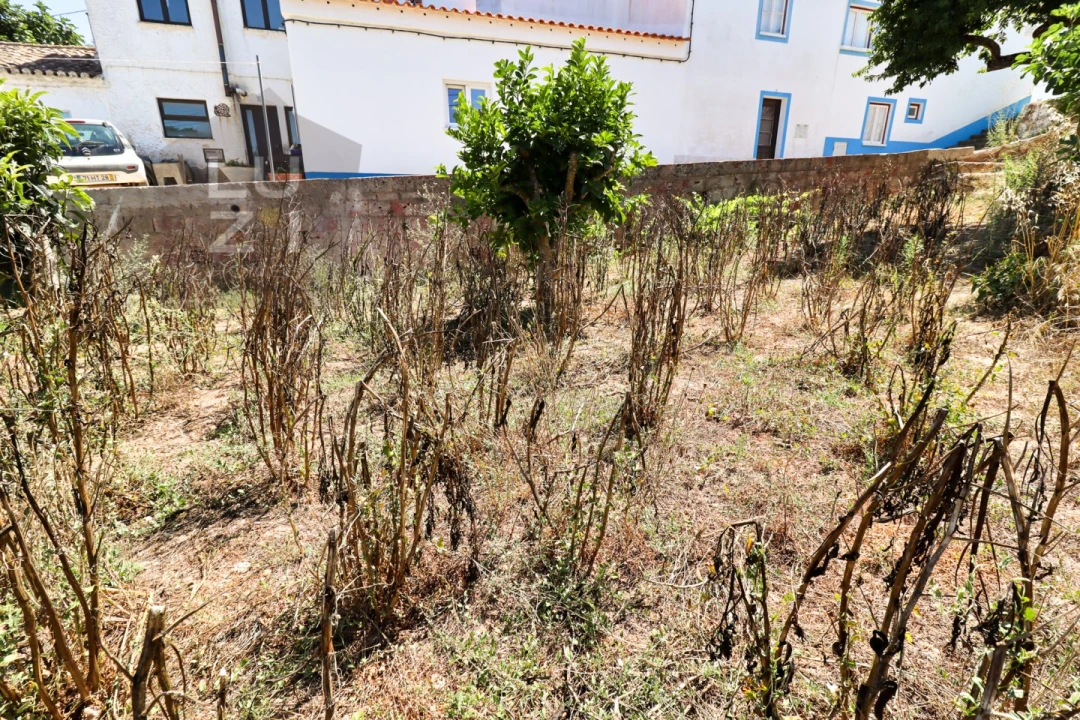 Terreno para Venda em Barão de São Miguel Foto 16