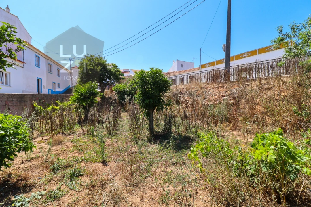 Terreno para Venda em Barão de São Miguel Foto 22
