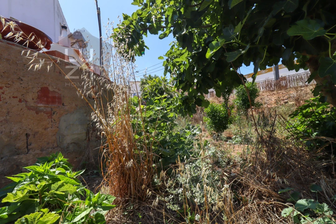 Terreno para Venda em Barão de São Miguel Foto 26