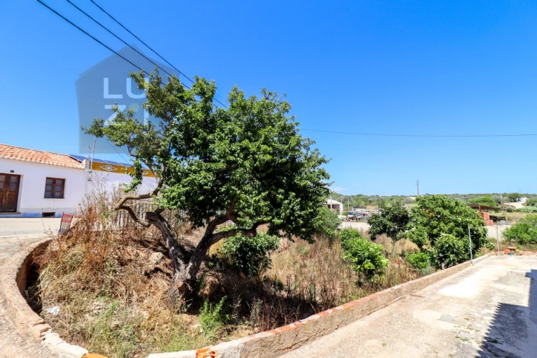 Terreno para Venda em Barão de São Miguel Foto 2