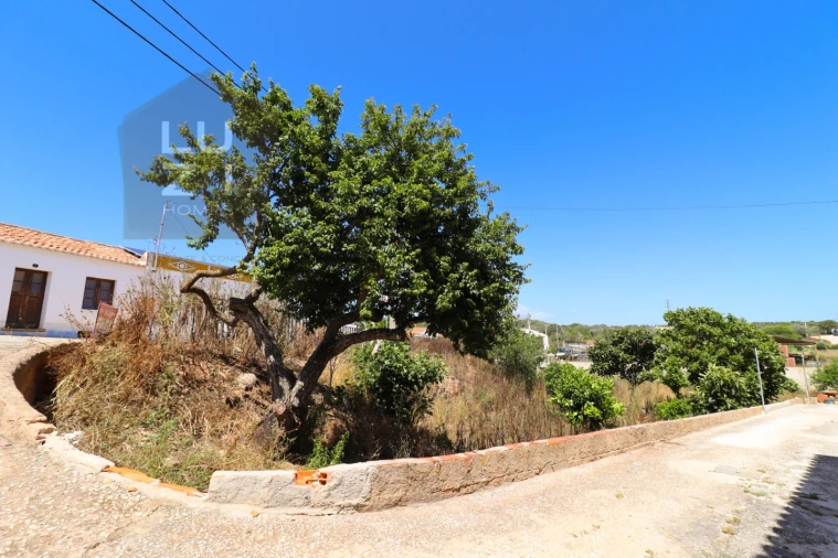 Terreno para Venda em Barão de São Miguel Foto 3