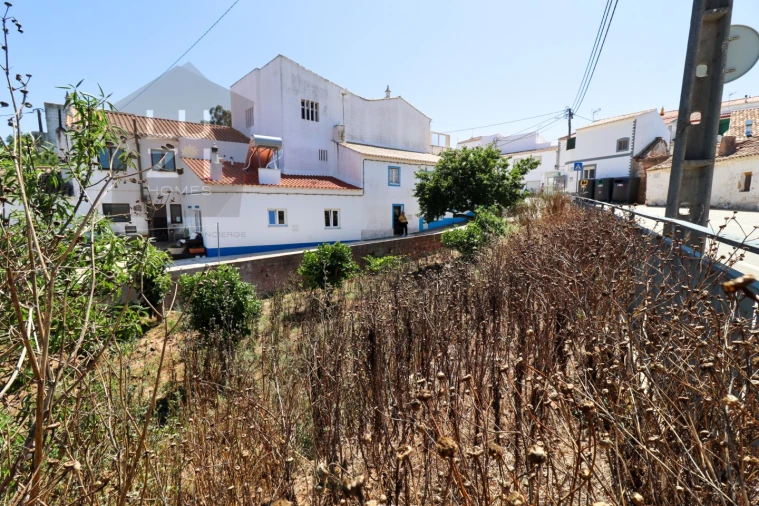 Terreno para Venda em Barão de São Miguel Foto 6