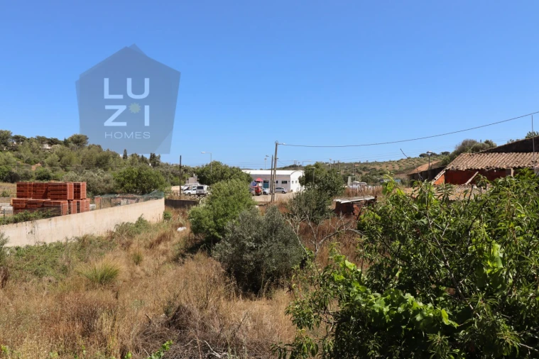Terreno para Venda em Barão de São Miguel Foto 8