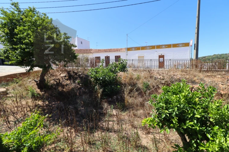 Terreno para Venda em Barão de São Miguel Foto 10