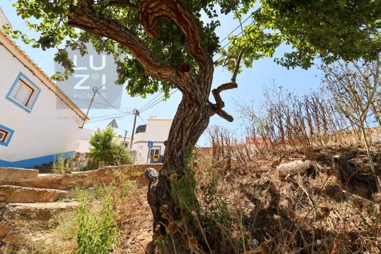 Terreno para Venda em Barão de São Miguel Foto 11