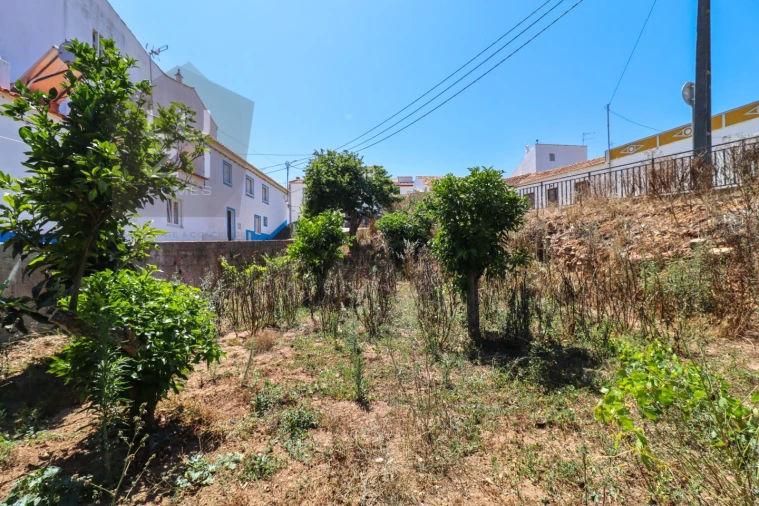 Terreno para Venda em Barão de São Miguel Foto 18