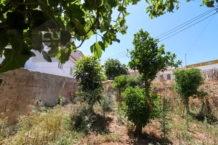 Terreno para Venda em Barão de São Miguel Foto 25