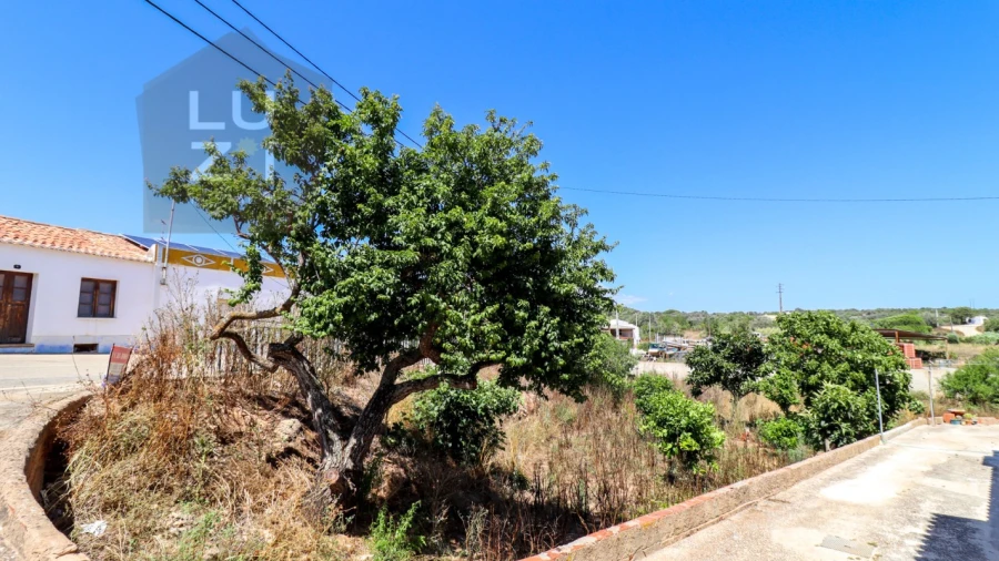 Terreno para Venda em Barão de São Miguel