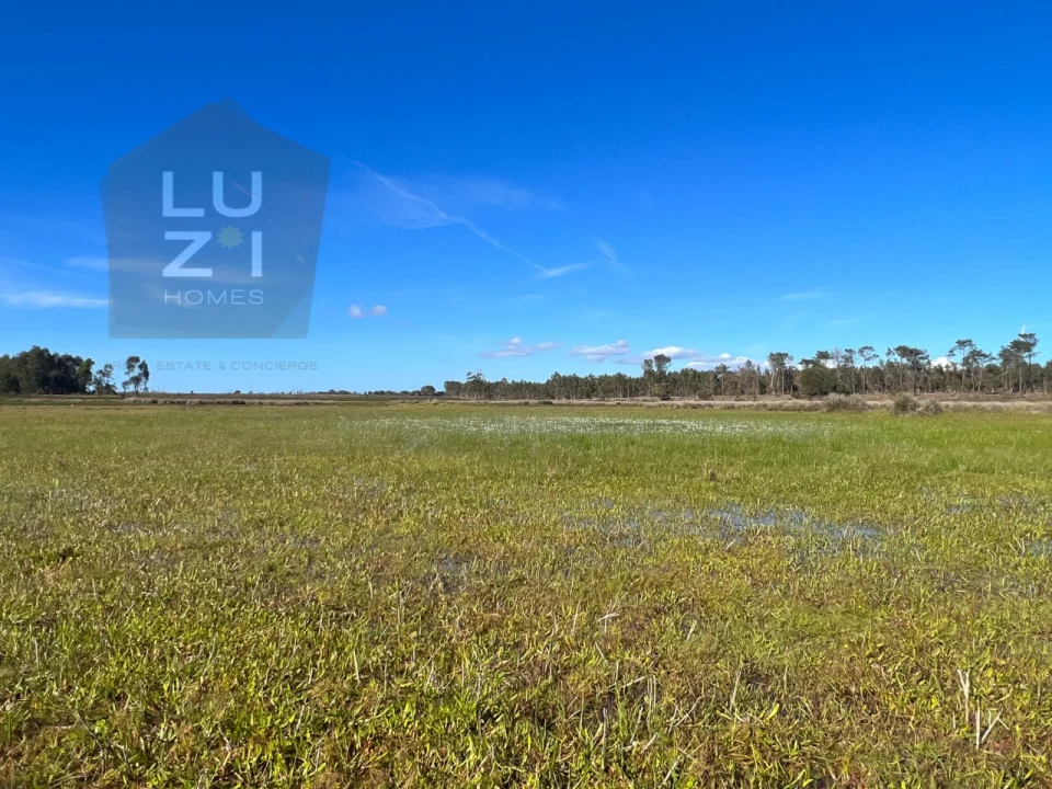 Terreno Agricola ou Rústico para Venda em Vila do Bispo e Raposeira Foto 8