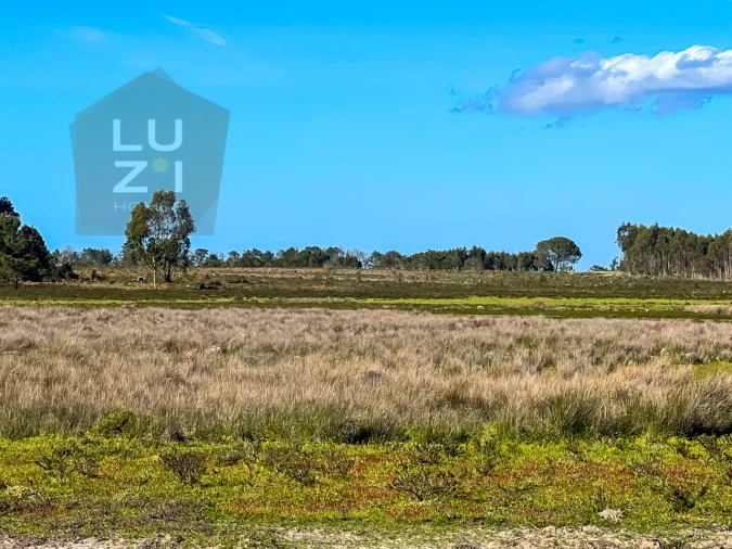 Terreno Agricola ou Rústico para Venda em Vila do Bispo e Raposeira Foto 5