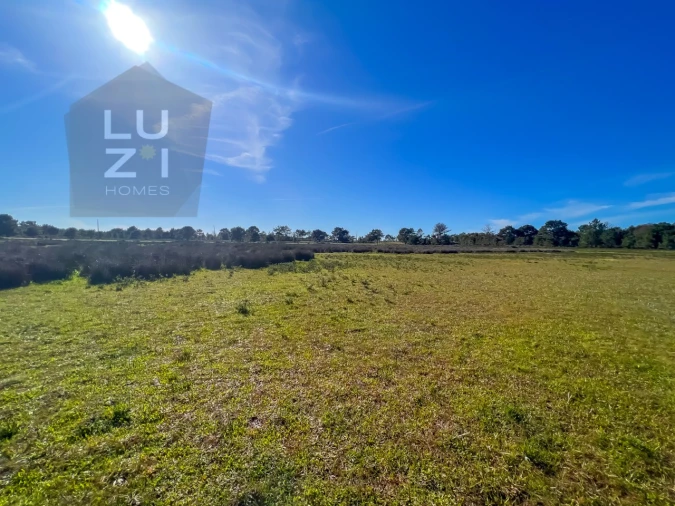 Terreno Agricola ou Rústico para Venda em Vila do Bispo e Raposeira Foto 7