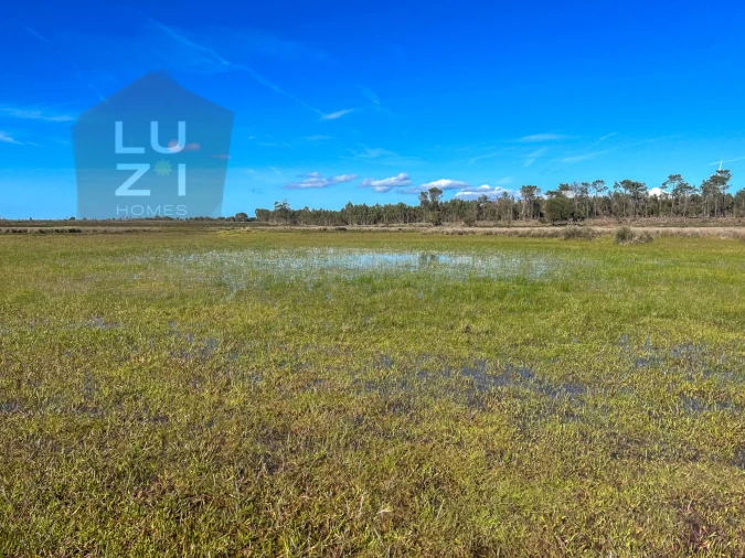 Terreno Agricola ou Rústico para Venda em Vila do Bispo e Raposeira Foto 9