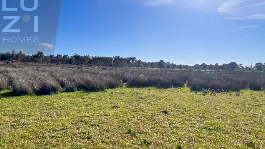 Terreno Agricola ou Rústico para Venda em Vila do Bispo e Raposeira