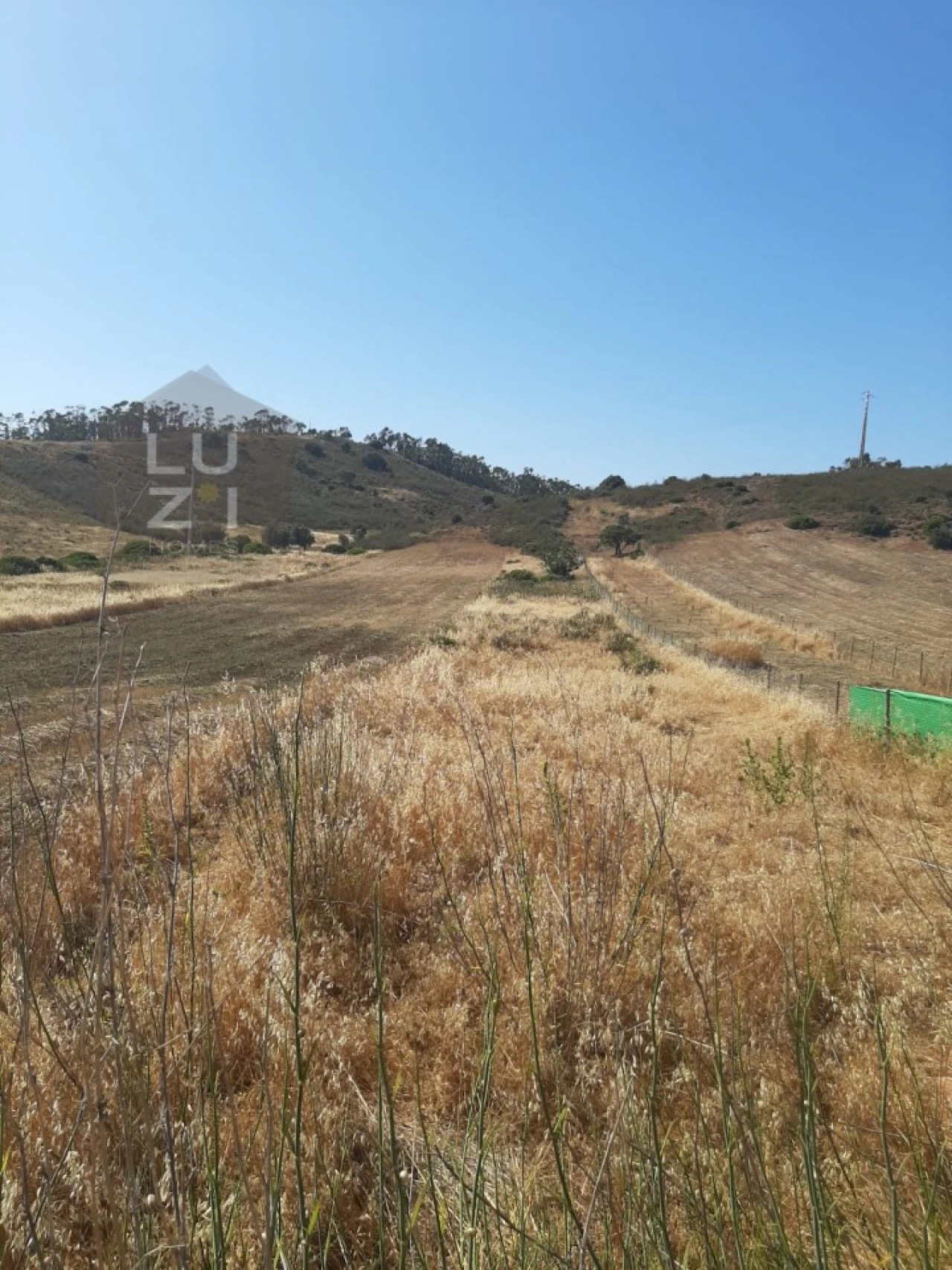 Terreno Agricola ou Rústico para Venda em Barão de São Miguel Foto 2