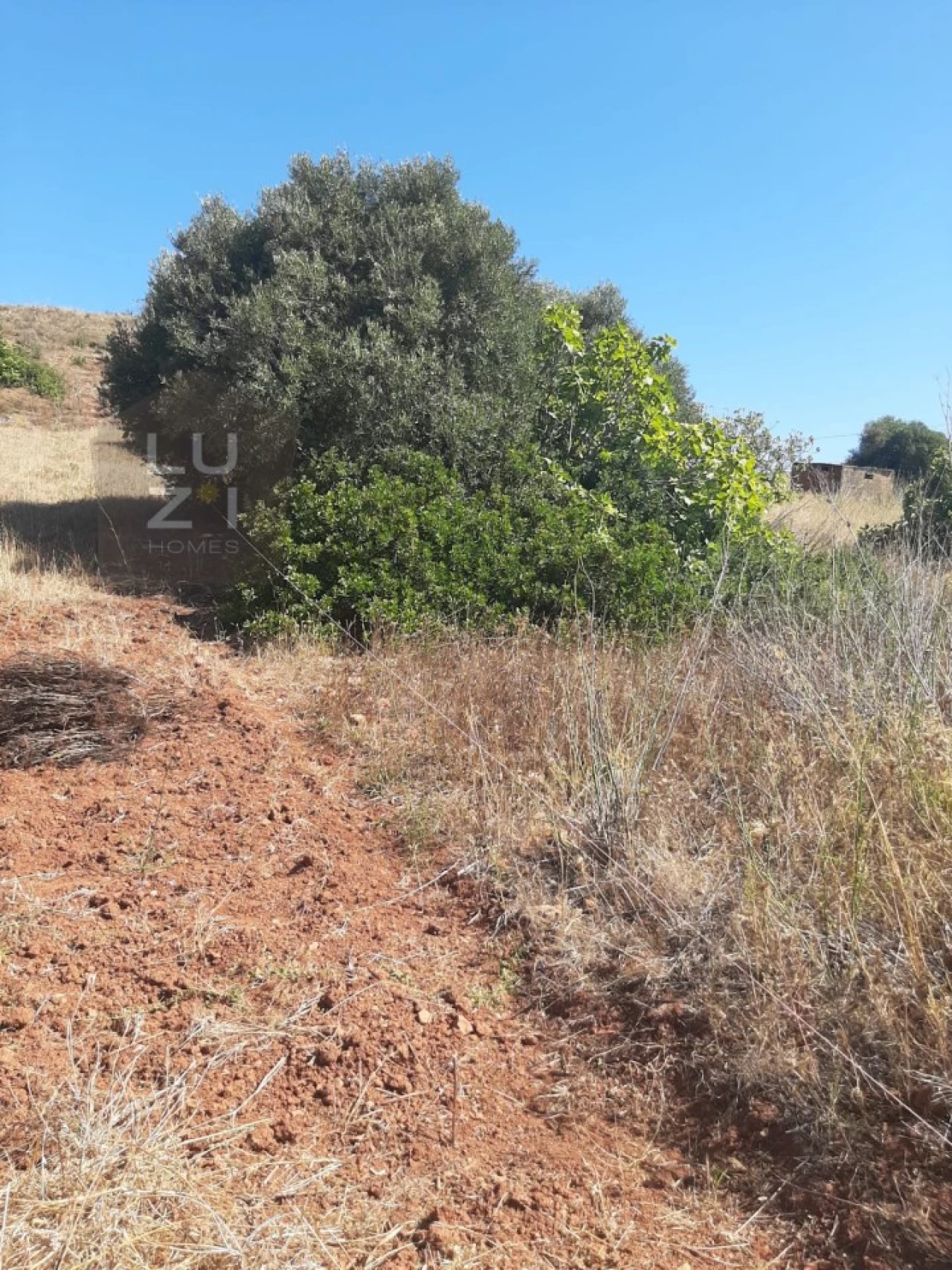 Terreno Agricola ou Rústico para Venda em Barão de São Miguel Foto 4