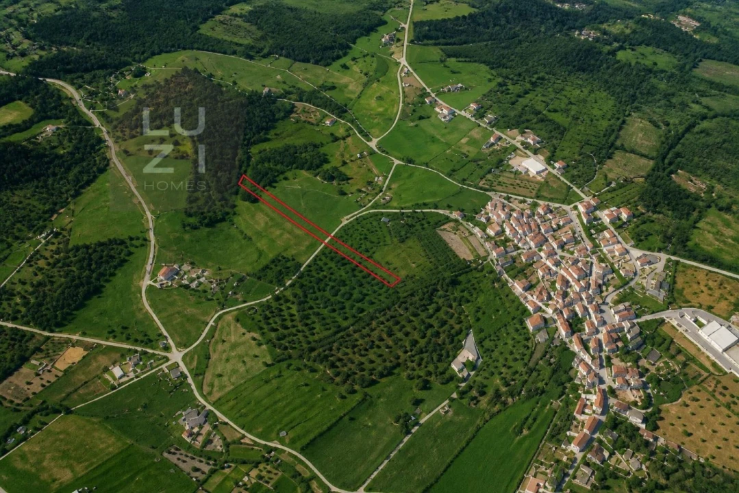 Terreno Agricola ou Rústico para Venda em Barão de São Miguel Foto 1