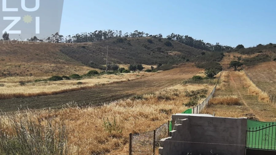 Terreno Agricola ou Rústico para Venda em Barão de São Miguel