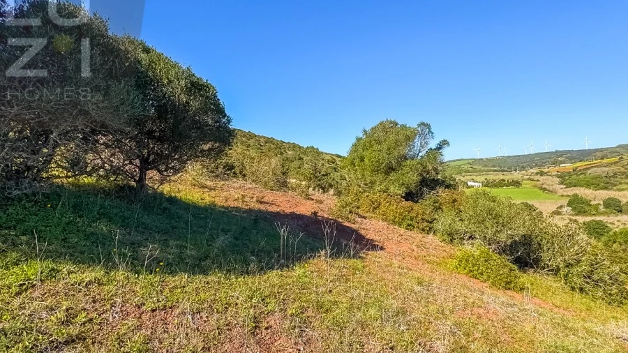 Terreno Agricola ou Rústico para Venda em Vila do Bispo e Raposeira
