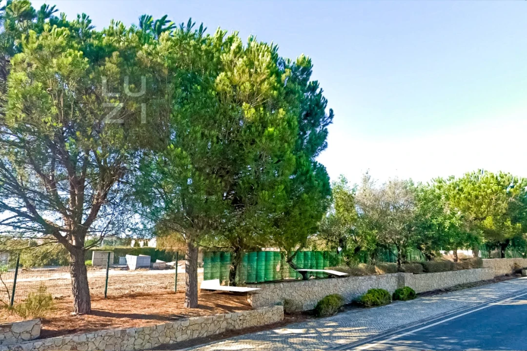 Terreno para Venda em Lagos (São Sebastião e Santa Maria) Foto 8