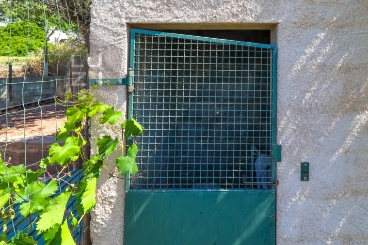Terreno Agricola ou Rústico para Venda em Odiaxere Foto 13