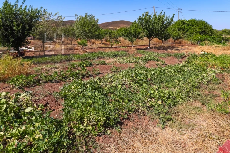 Terreno Agricola ou Rústico para Venda em Odiaxere Foto 27