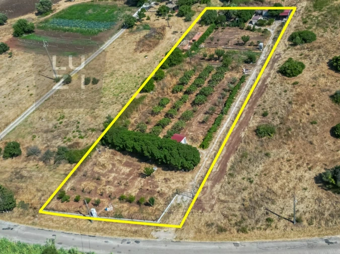 Terreno Agricola ou Rústico para Venda em Odiaxere Foto 1