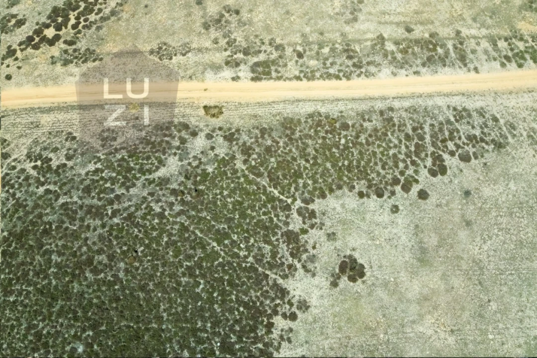 Terreno Agricola ou Rústico para Venda em Vila do Bispo e Raposeira Foto 4