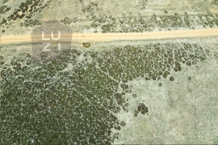 Terreno Agricola ou Rústico para Venda em Vila do Bispo e Raposeira Foto 4