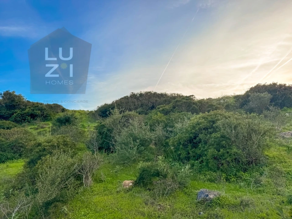 Terreno Agricola ou Rústico para Venda em Vila do Bispo e Raposeira Foto 10