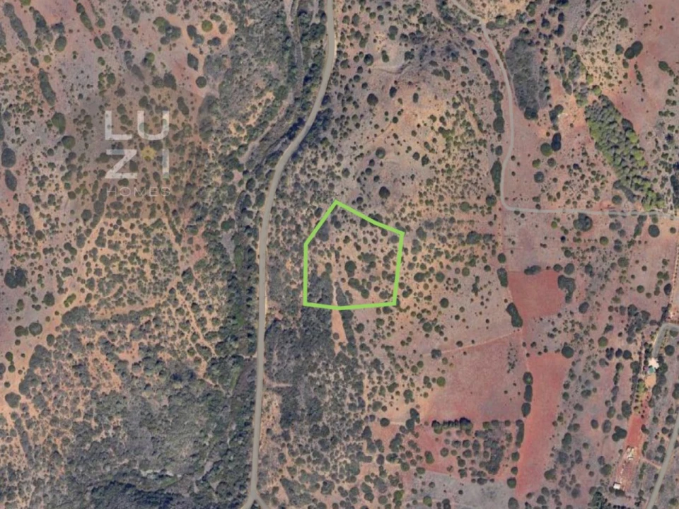 Terreno Agricola ou Rústico para Venda em Vila do Bispo e Raposeira Foto 11