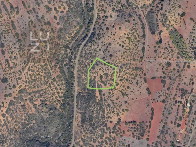 Terreno Agricola ou Rústico para Venda em Vila do Bispo e Raposeira Foto 11