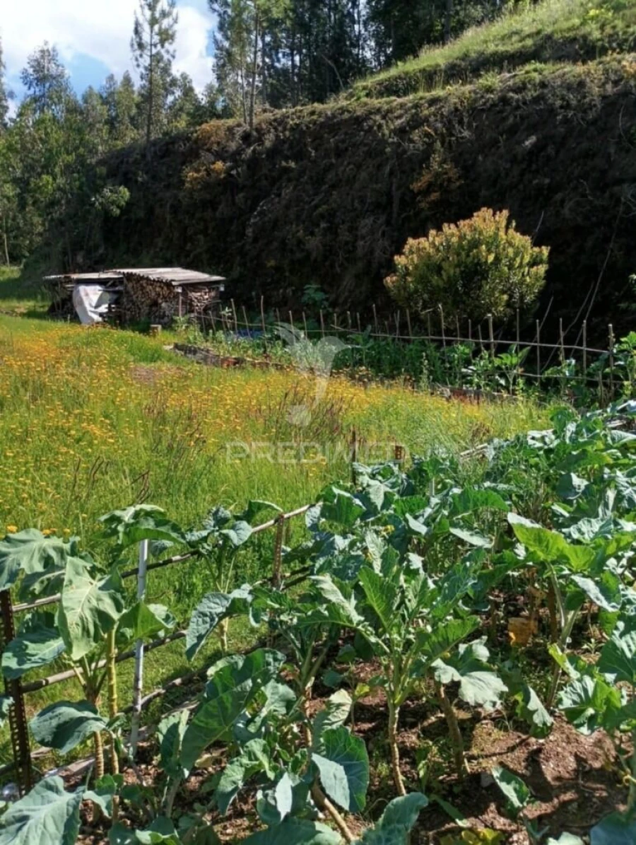 Terreno para Venda em Sandim, Olival, Lever e Crestuma Foto 3