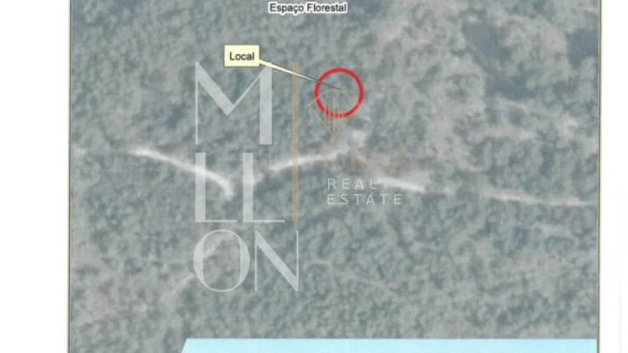 Terreno para Venda em Figueiro da Granja