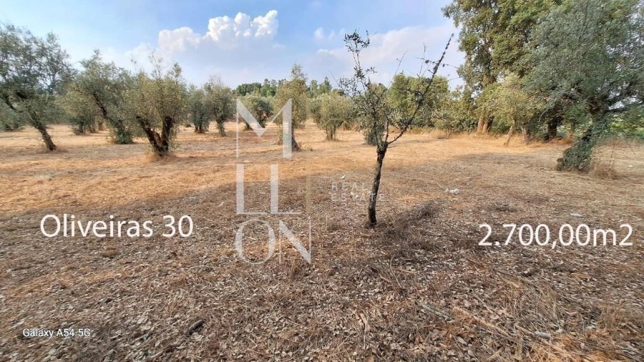 Terreno para Venda em Figueiro da Granja Foto 2