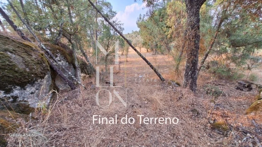 Terreno para Venda em Figueiro da Granja