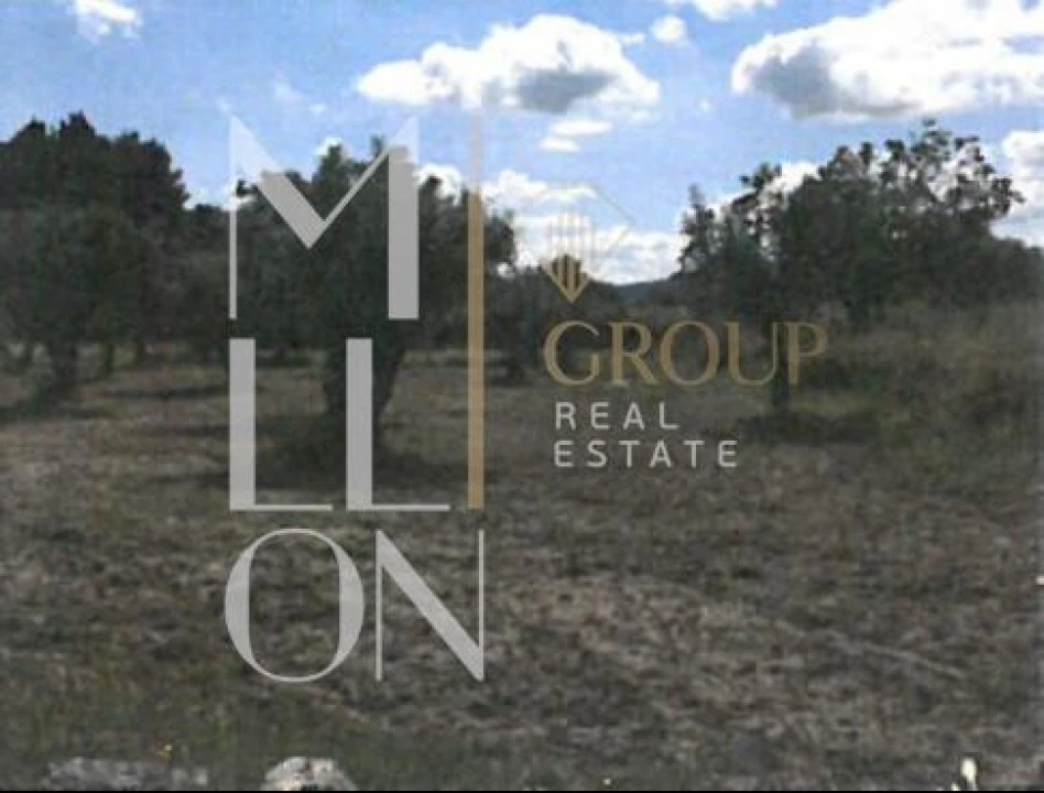 Terreno para Venda em Figueiro da Granja Foto 4