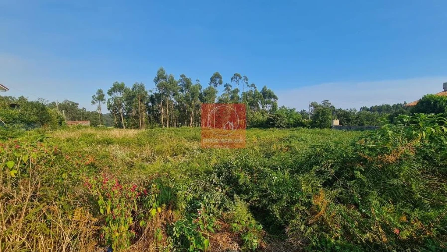 Terreno para Venda em Palmeira de Faro e Curvos Foto 6