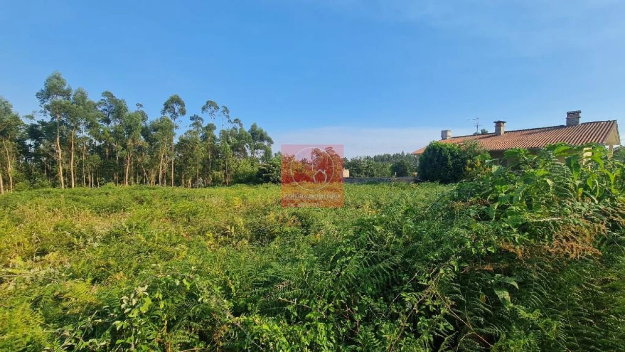Terreno para Venda em Palmeira de Faro e Curvos Foto 3