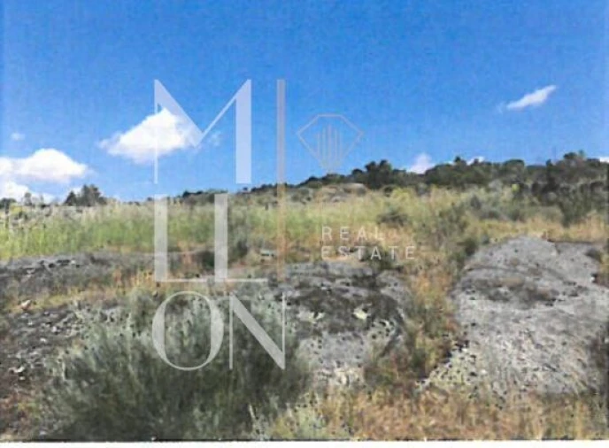 Terreno para Venda em Figueiro da Granja Foto 2