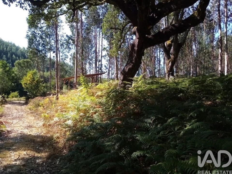 Moradia para Venda em Pedrogão Grande Foto 24