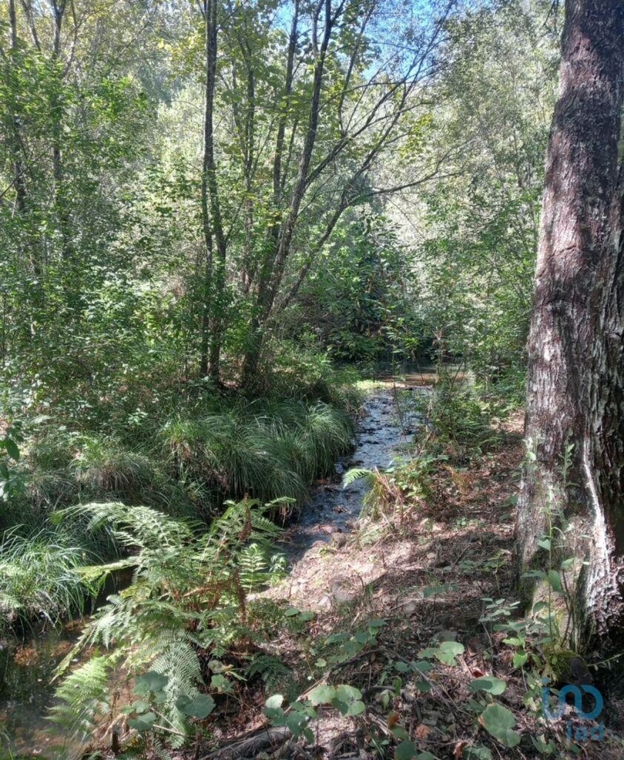 Moradia para Venda em Pedrogão Grande Foto 4