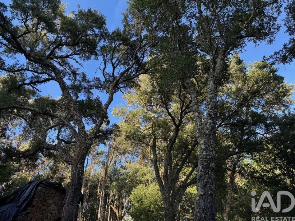 Moradia para Venda em Pedrogão Grande Foto 18