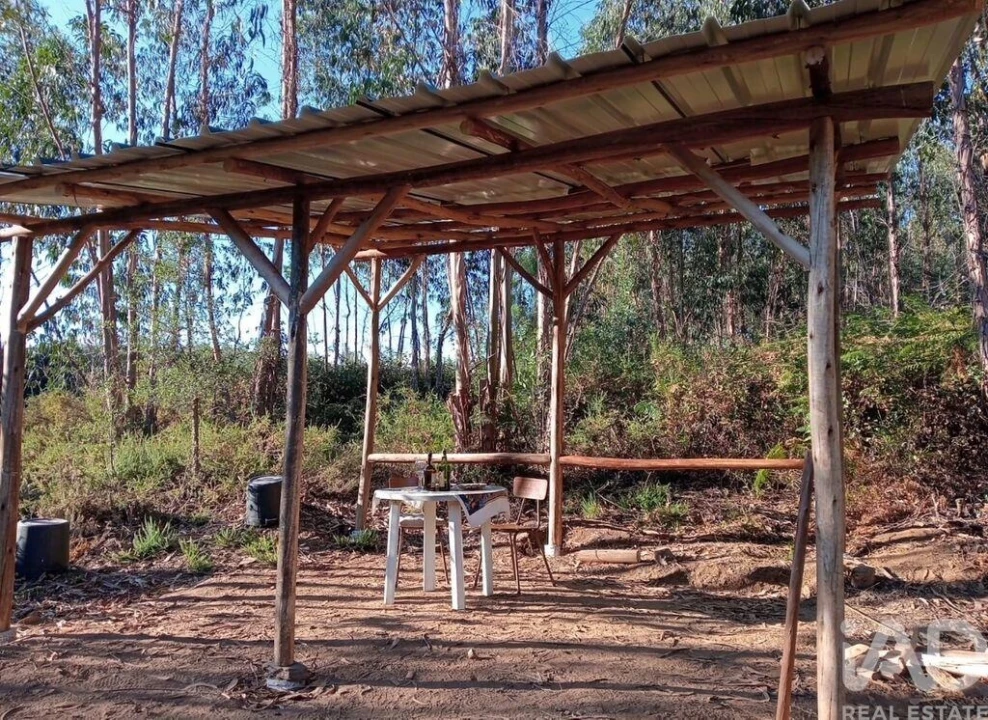 Moradia para Venda em Pedrogão Grande Foto 15